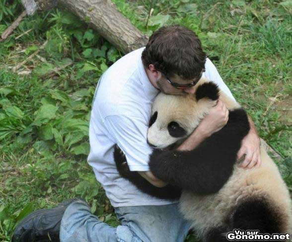 Trop mignon ce panda qui fait un gros calin a ce type ...