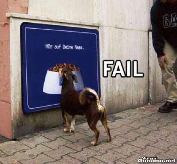 Un chien qui s est fait avoir par une affiche publicitaire