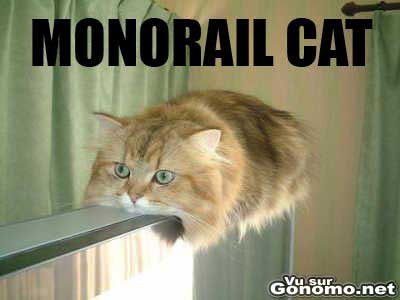 Monorail cat lol