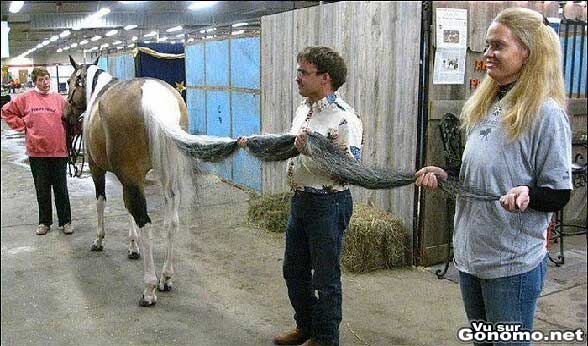 Une queue de cheval qui doit trainer par terre