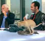 Un chien pose un gros etron en direct sur un plateau d une emission de tv