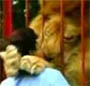 Comme c est mignon, un gros lion qui fait un gros calin calin a son maitre