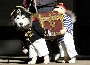 Costume pour chien : un chien deguise en pirate transportant son tresor. Vraiment excellent !