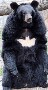 Batman bear : Apres where is Charlie ... where is Batman ???