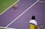 Un chat qui s invite sur un cours de tennis