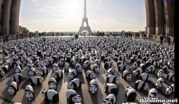 Des centaines de (faux) pandas sous la tour Eiffel