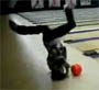 Breakdance bowling : il fait un strike en faisant un headspin !