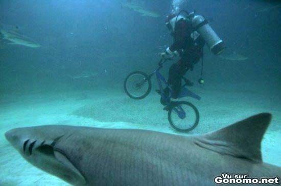 Il fait du bmx sous l eau avec des requins