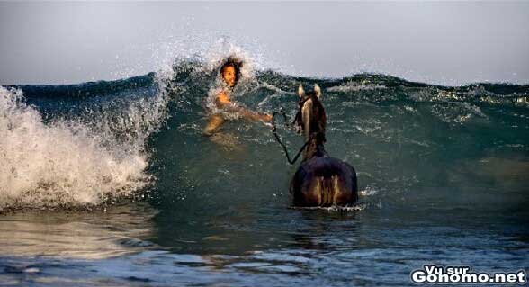 Il compte faire du surf avec son cheval ??