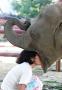 Une femme dans la bouche d un elephant
