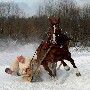 C est physique la course de traineau avec un cheval