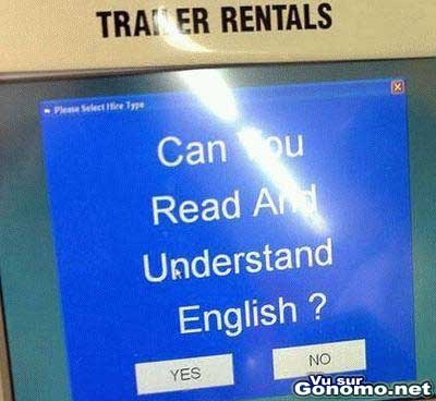 Can you understand english ? lol