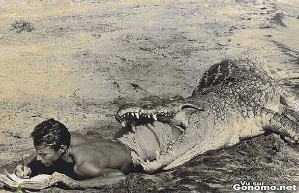 Il ecrit son journal intime pendant qu un alligator lui bouffe les jambes