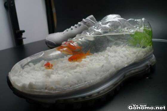 Aquarium insolite : un petit aquarium pour poisson rouge dans des chaussures de sport etanches