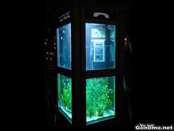 Un bel aquarium dans une cabine telephonique