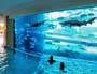 Piscine aquarium : une piscine d interieur ou les nageurs cotoient les poissons ...