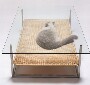 Une table basse en verre design avec un petit hamac dessous pour votre chat