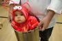 Un bebe qui va se faire cuire comme un homard