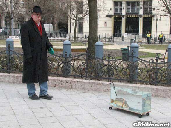 Il sort son gros poisson en laisse avec son aquarium comme il sortirait son chien