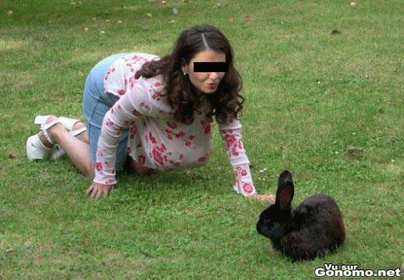 Ce lapin devrait faire attention, elle va l etouffer avec ses airbags