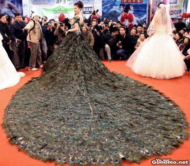 Robe de mariee insolite : une longue robe de mariee faites avec des plumes de paon