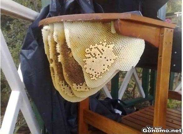 Des abeilles ont fait leur ruche sous ce barbecue