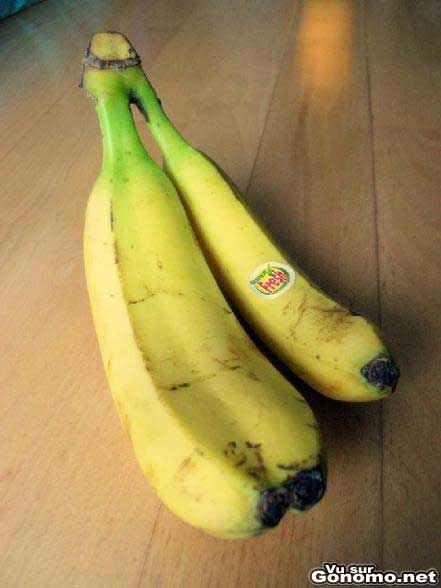 Des bananes siamoises : deux bananes mais une seule peau. Pratique !
