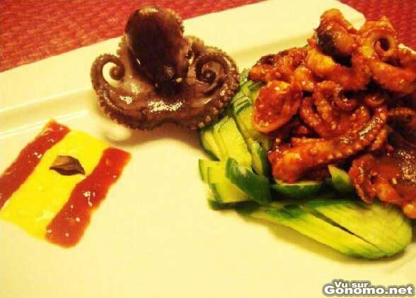 Les restaurants espagnols rendent hommage a Paul le poulpe en l ajoutant a leurs menus ...