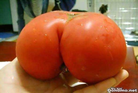 Une tomate avec de belles formes genereuses !