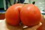 Une tomate avec de belles formes genereuses !