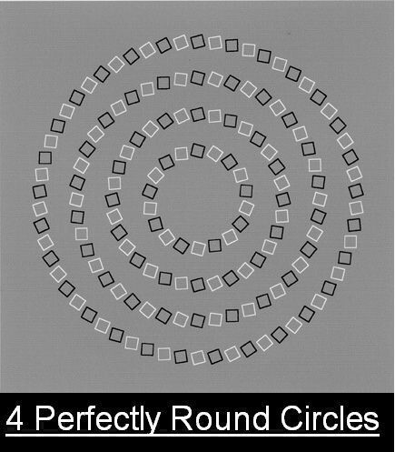 Rosace ou cercles parfaits, que voyez vous ?