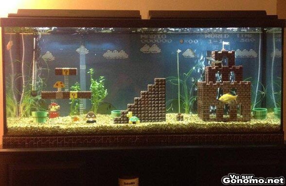 Aquarium de geek : un fan de Mario customise son aquarium sur le theme du celebre jeu video