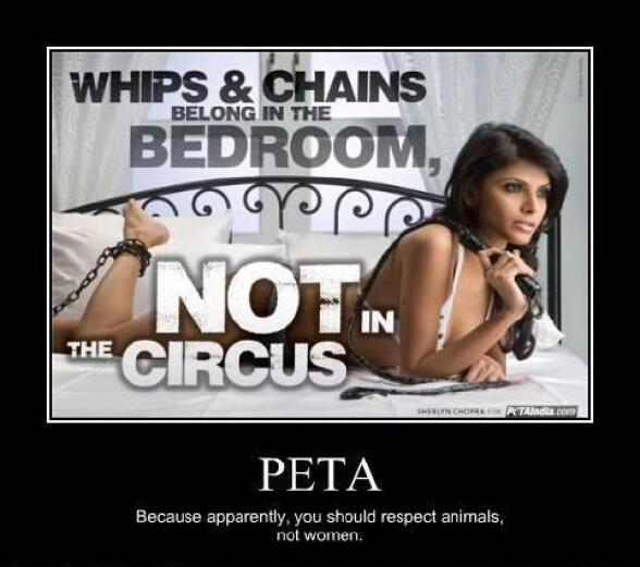 Fouet et chaine au lit mais pas au cirque ! Car il faut respecter les animaux mais pas les femmes :p