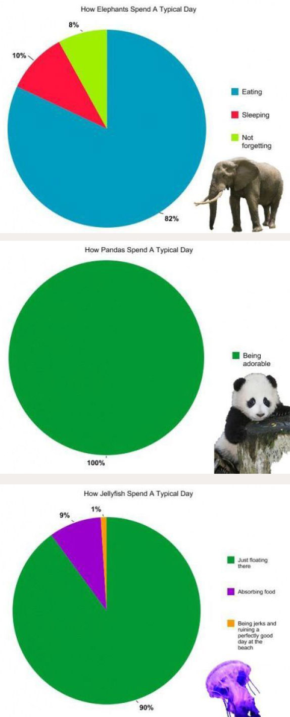 Voici en graphiques la journee typique d un elephant, d un panda et d un meduse :)