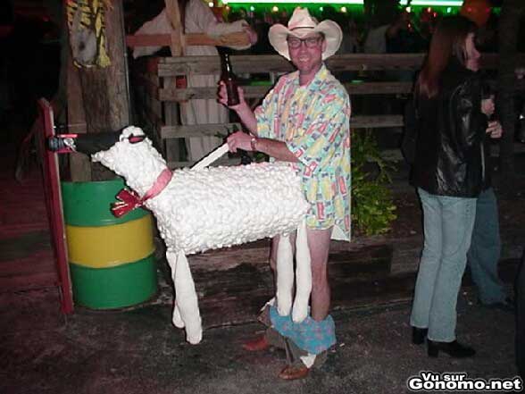 http://www.gonomo.net/images/lol-fun/grandes/guignols-michael-kael-mouton-deguisement-insolite-avec-un-mec-le-panatlon-sur-les-chevilles-avec-un-mouton-devant-lui.jpg