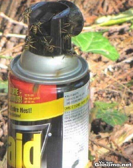 Une bombe anti moustiques qui fonctionne a merveille ...