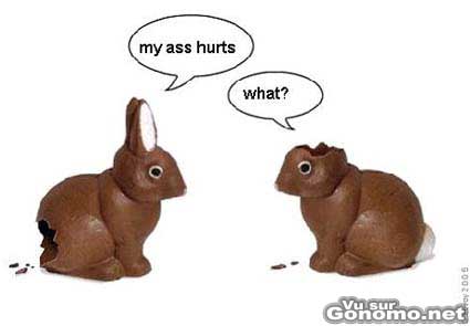 En cette periode de paques, pensez aux lapins en chocolat