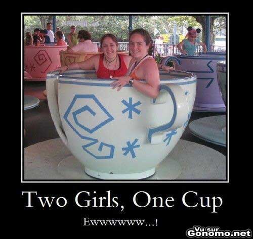 2 girls 1 cup en moins gore :)