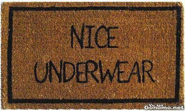 Nice underwear : sympa ce paillasson qui doit se rincer l oeil  ...