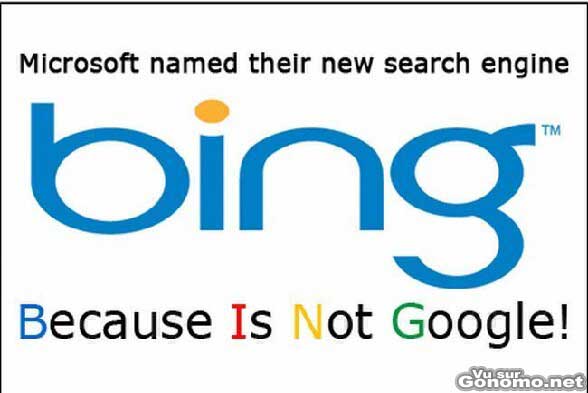 Que signifie BING, le nouveau moteur de recherche de Microsoft ? :)