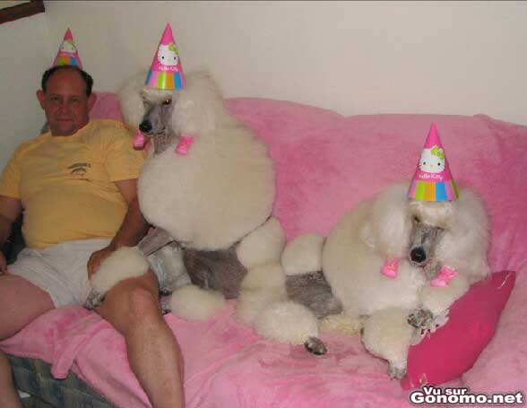 Il fete son anniversaire avec deux chiennes :p