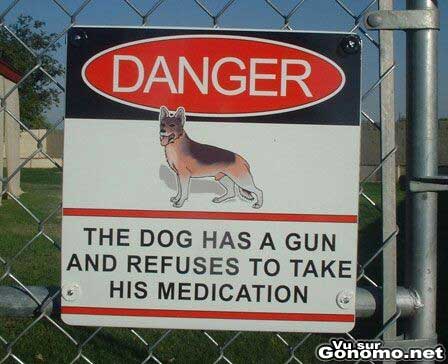 Le chien a un fusil et refuse de prendre ses medicaments ?