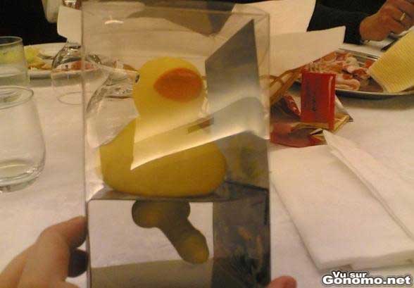 Un autre version du celebre sex toy en forme de canard :)