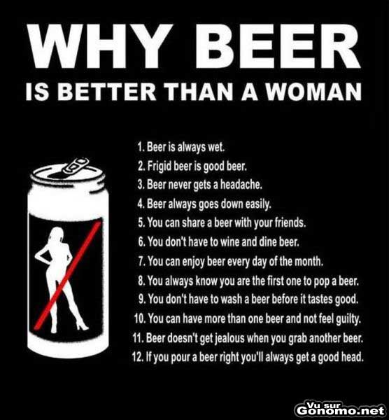 Pourquoi la biere est meilleure qu une femme en 12 points finalement assez convaincants ...