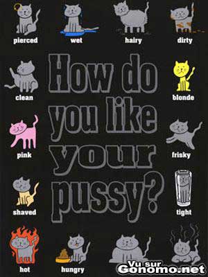 How do you like your pussy ?
