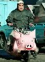 Un mec trop style sur son scooter a tete de cochon