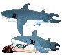 Un gros requin en peluche qui peut servir de sac de couchage