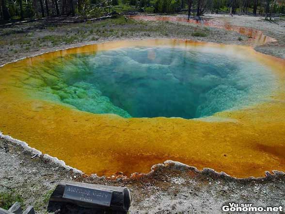 Une piscine naturelle magnifique dans le parc national de Yellowstone