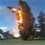 Un arbre a cote d une ligne electrique prend feu a Bellingham Washington