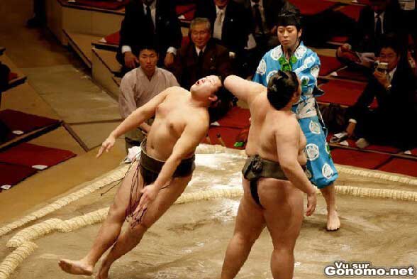 Le coup de la corde a linge dans un combat de sumos ??